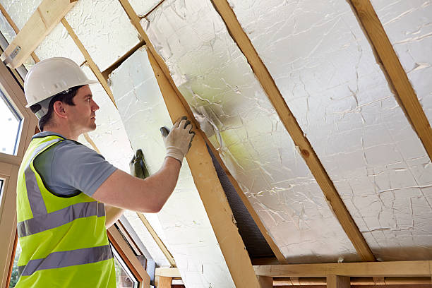 Best Wall Insulation Contractor  in , AZ